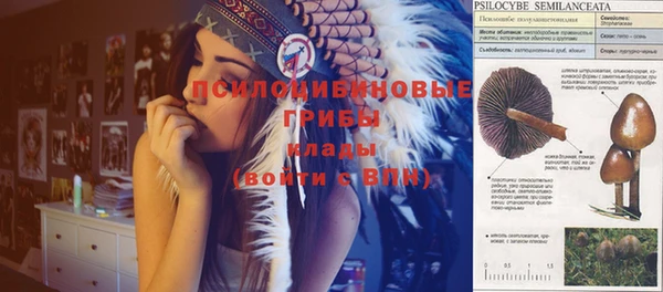 2c-b Абдулино